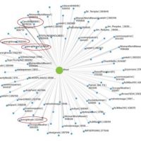 miles-cuentas-perfiles